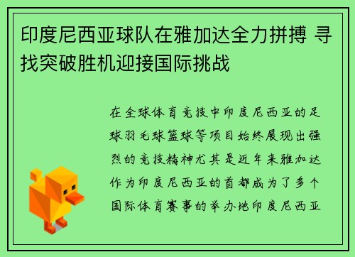 印度尼西亚球队在雅加达全力拼搏 寻找突破胜机迎接国际挑战